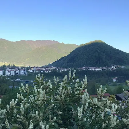 Apartma Savan Tolmin Exterior foto