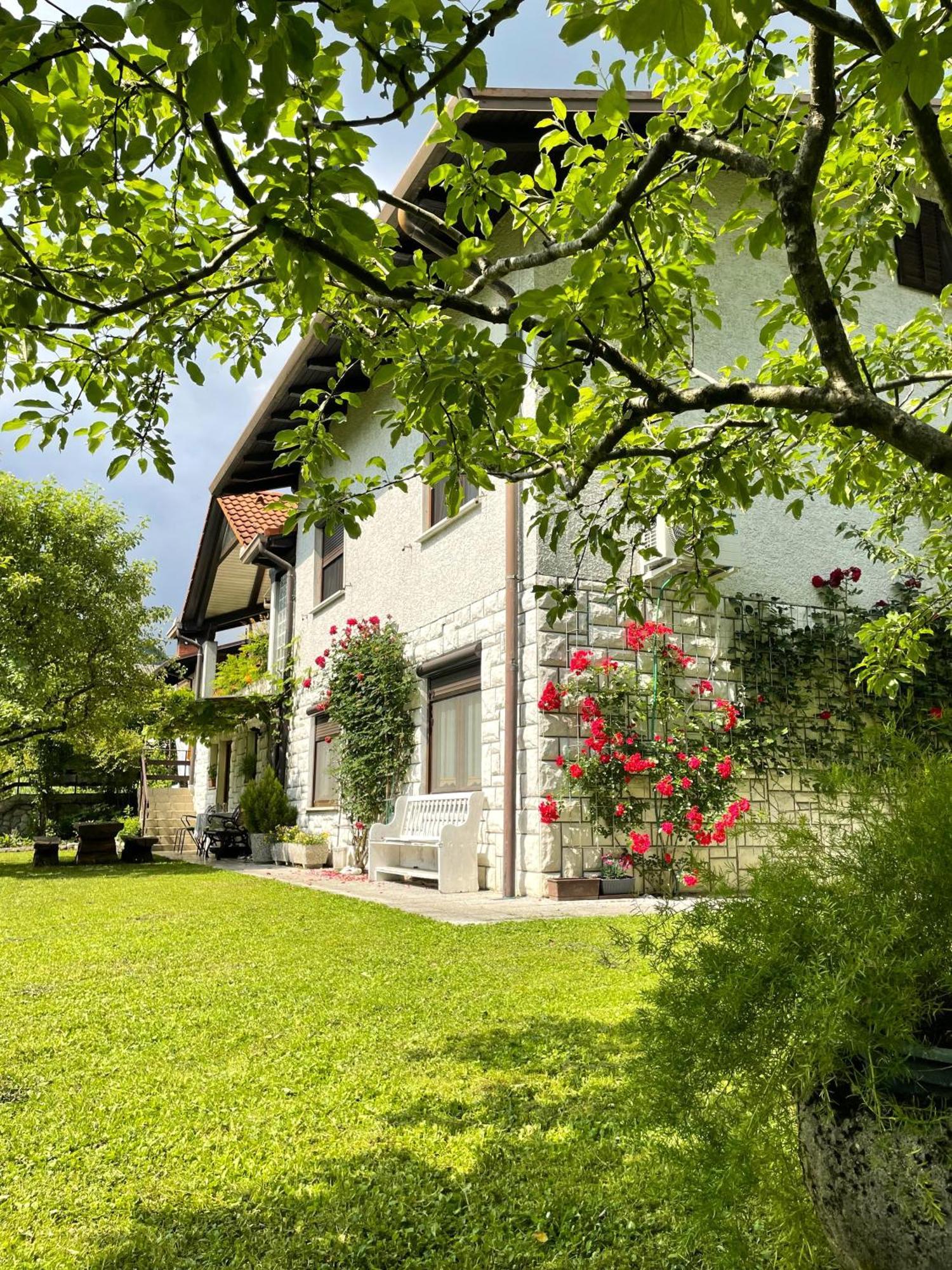 Apartma Savan Tolmin