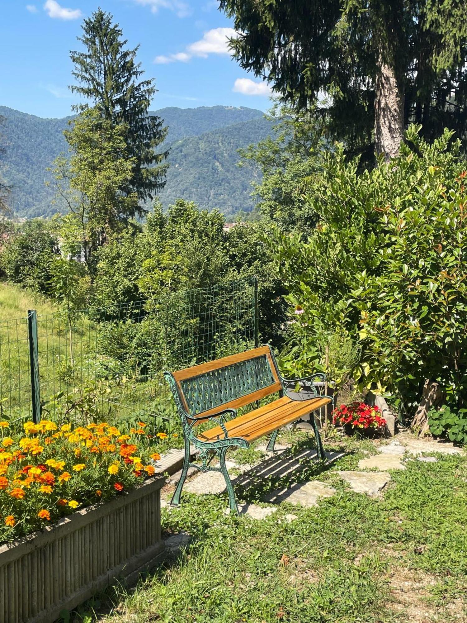 Apartma Savan Apartment Tolmin