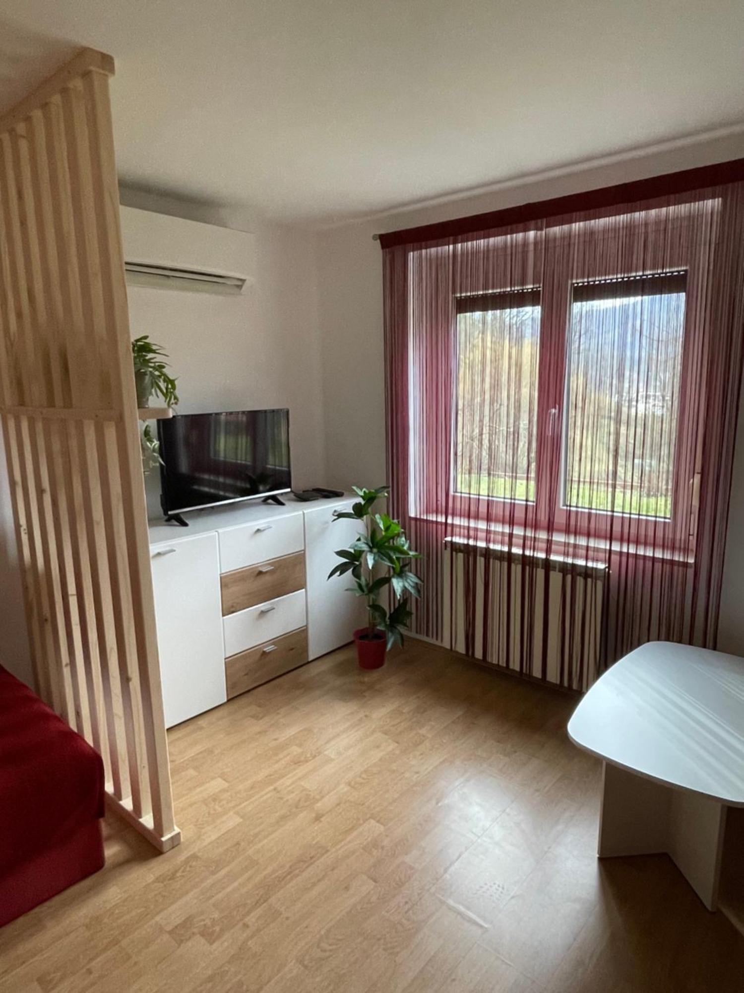 Apartment Apartma Savan Tolmin
